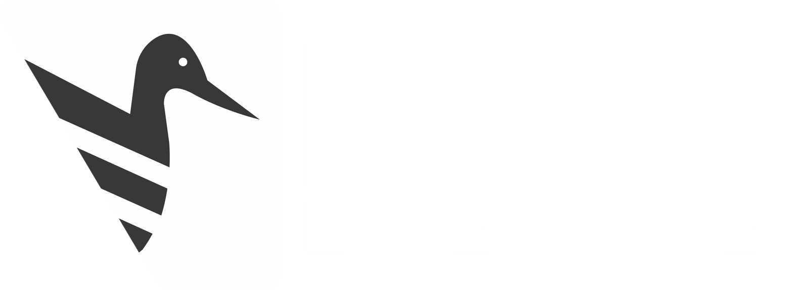 Loons Enterprises LLC